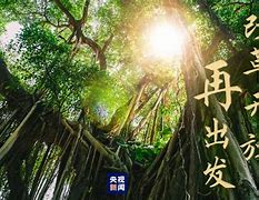 高山榕下春天的故事谱新篇,豪华精英版79.26.45-江GO121,127.13