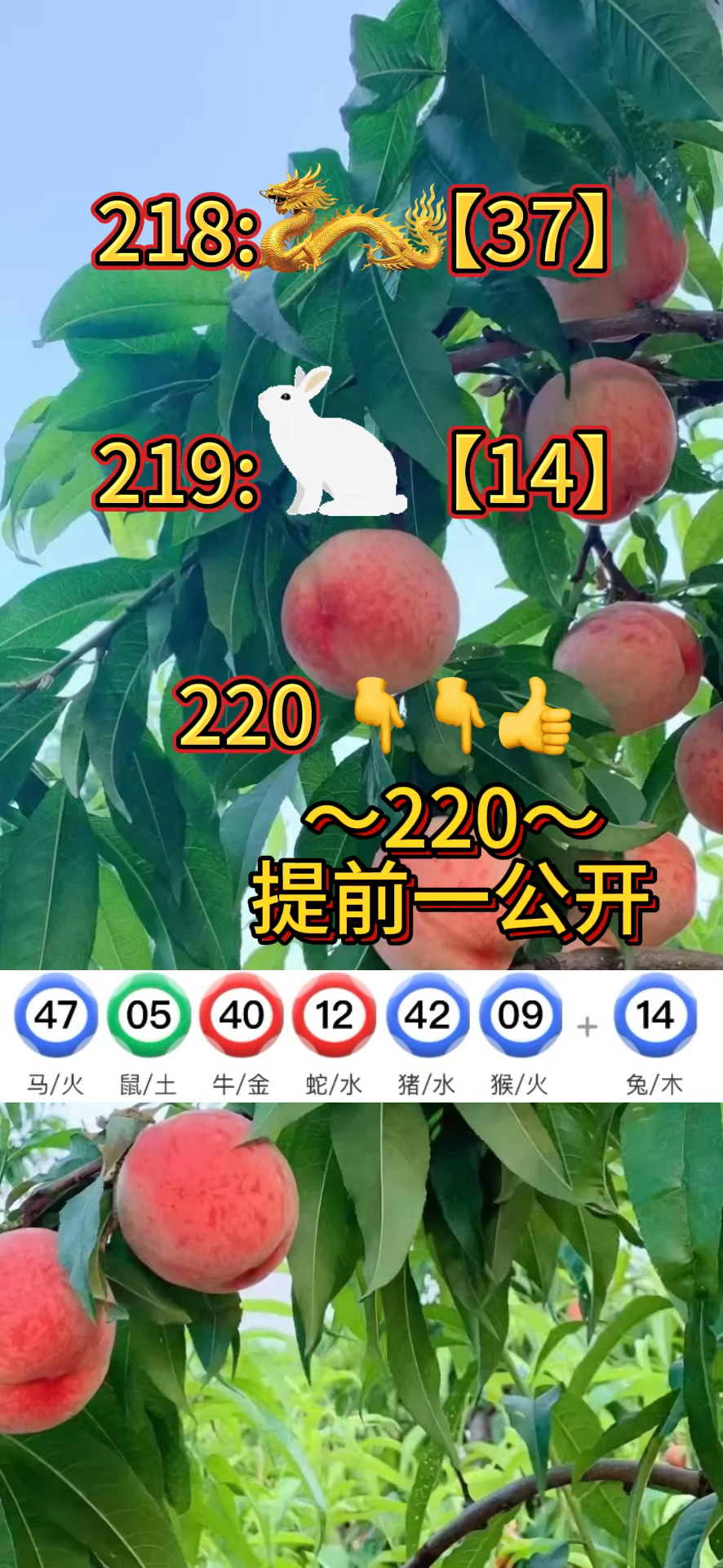 新澳门2024年免费咨料,准确答案解释落实_3DM4121,127.13