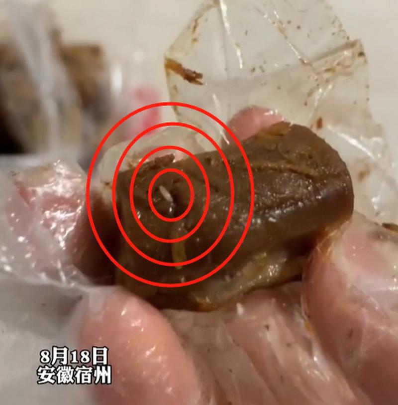 外卖店内虫子随意爬