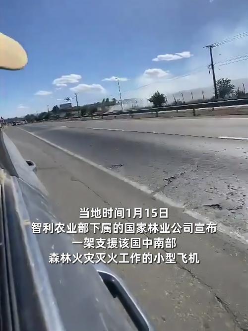 智利飞机坠毁致6死