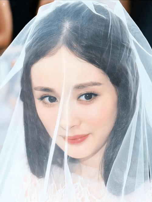 新奥今晚开一肖一特讲解词语和杨幂论文AI率涨91%与杨幂的毕业论文